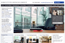 Executive Office Group